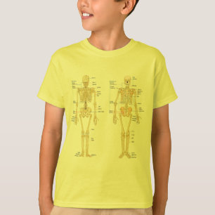 解剖学の図表と分類される人間の骨組 Tシャツ