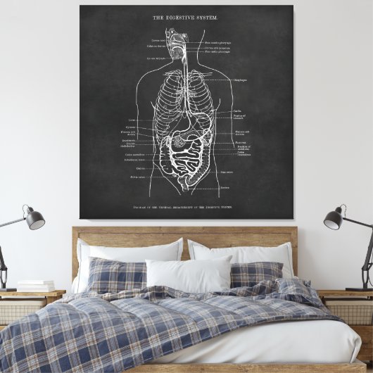 解剖学アート消化器系ドクターオフィスデコール キャンバスプリント (インサイチュ (寝室))