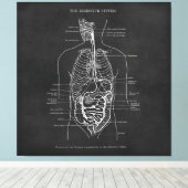 解剖学アート消化器系ドクターオフィスデコール キャンバスプリント (インサイチュ (ウッドフロア))