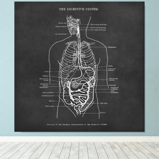 解剖学アート消化器系ドクターオフィスデコール キャンバスプリント (インサイチュ (ウッドフロア))