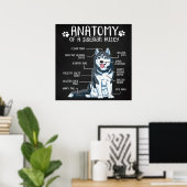 解剖学シベリア・ハスキー ポスター (ホームオフィス)