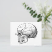 解剖学スカル ポストカード (スタンド正面)