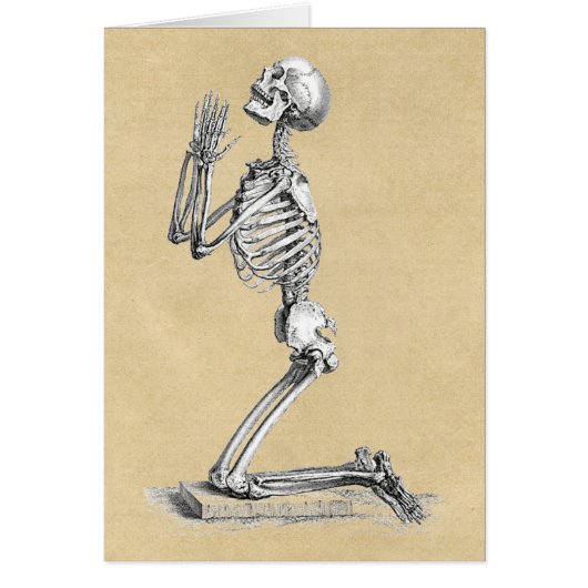 解剖学スケルトンイラストレーショングリーティングカード (正面)