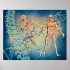 解剖学デジタルアート ポスター