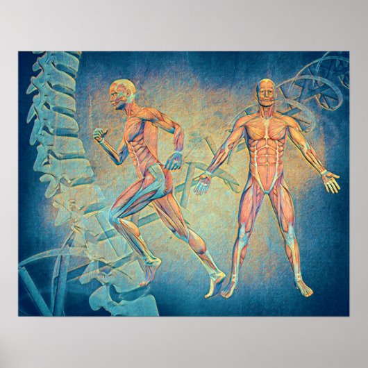 解剖学デジタルアート ポスター (正面)
