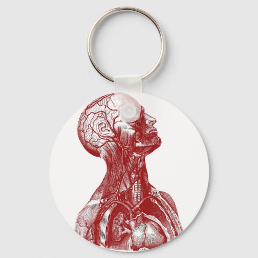 解剖学バストレッド キーホルダー (正面)
