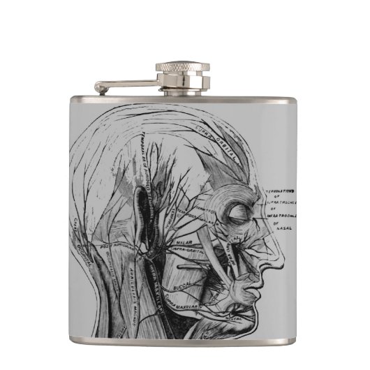 解剖学フラスコ フラスク (正面)