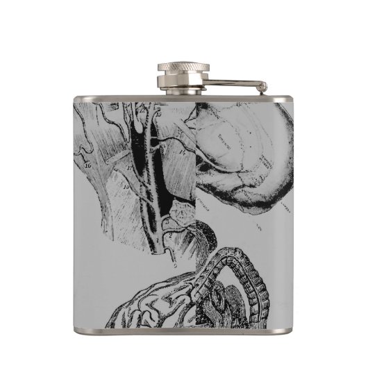 解剖学フラスコ フラスク (裏面)