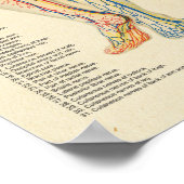 解剖学図動脈静脈神経ヴィンテージ ポスター (角)