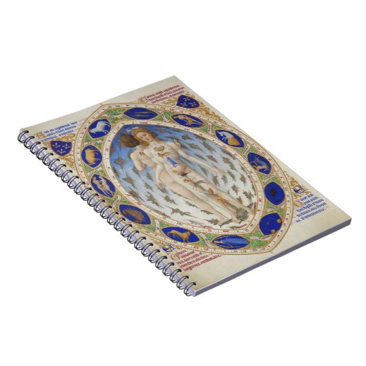 解剖学的な男 – ノート (右側)