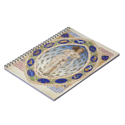 解剖学的な男 – ノート (左側)