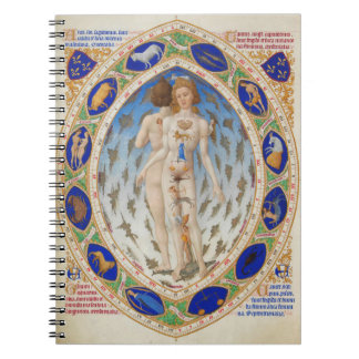 解剖学的な男 – ノート