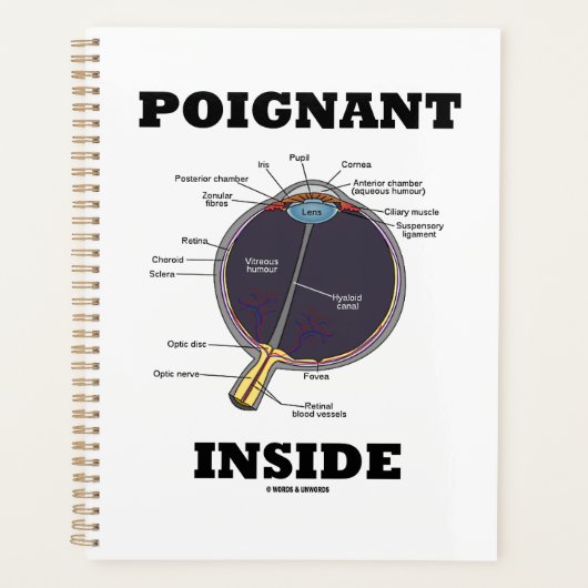 解剖学的な眼球の中の慈悲深い目 プランナー手帳 (正面)