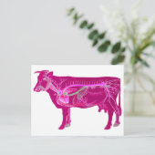 解剖学的にかわいい牛 ポストカード (スタンド正面)