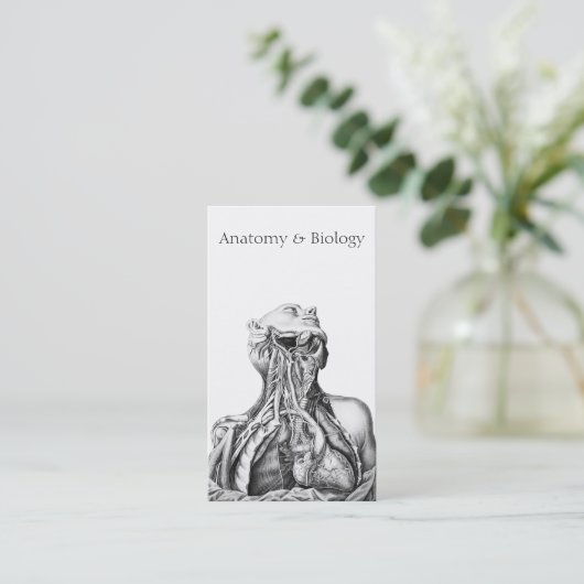 解剖学的イラストレーション医学科学 名刺 (スタンド正面)