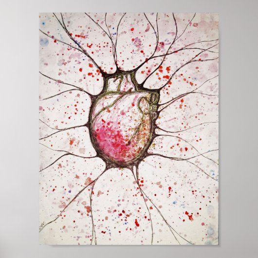 解剖学的ハートイラストレーション- 8.5x11ポスター ポスター (正面)
