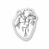 解剖学的ハートシール シール (正面)