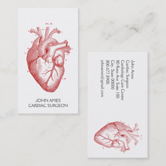 解剖学的ハート医療心臓外科医 名刺 (正面/裏面)