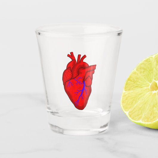 解剖学的ハート ショットグラス (正面)