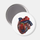 解剖学的ハート マグネット (正面/裏面)