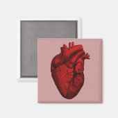 解剖学的ヒトハート マグネット (正面/裏面)