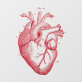  解剖学的人間ハートヴィンテージアートウィンドウの固着 ウィンドウサイン (シート)