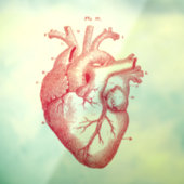  解剖学的人間ハートヴィンテージアートウィンドウの固着 ウィンドウサイン (シート3)