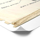 解剖学的前壁ポスター ポスター (角)