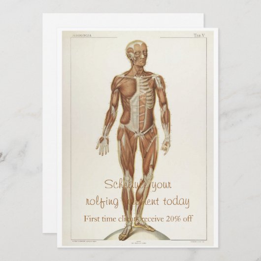 解剖学的前壁 招待状 (正面/裏面)