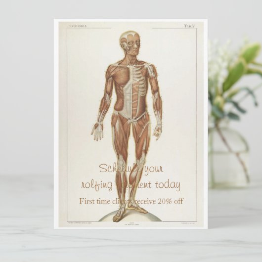 解剖学的前壁 招待状 (スタンド正面)