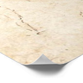 解剖学的勉強 ポスター (角)