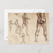 解剖学的勉強 ポストカード (正面/裏面)