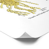 解剖学的循環図動脈リンパ管 ポスター (角)