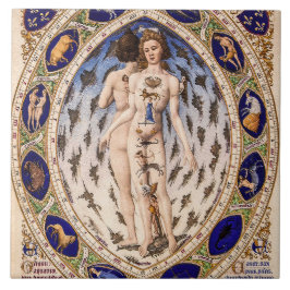 解剖学的〔占星術の〕十二宮図マン タイル