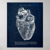 解剖学第2図人間のハートの後景 ポスター (正面)