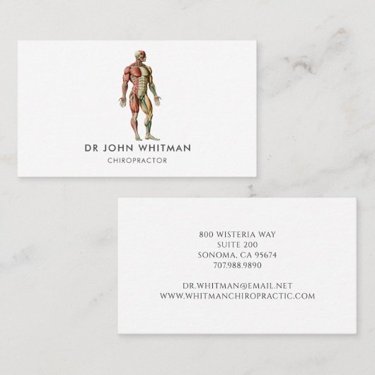 解剖学筋肉カイロプラクター 名刺 (正面/裏面)