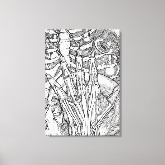 解剖学 キャンバスプリント (正面)