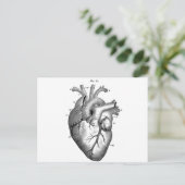 解剖学 – ハート – 画像 – ヴィンテージ ポストカード (スタンド正面)