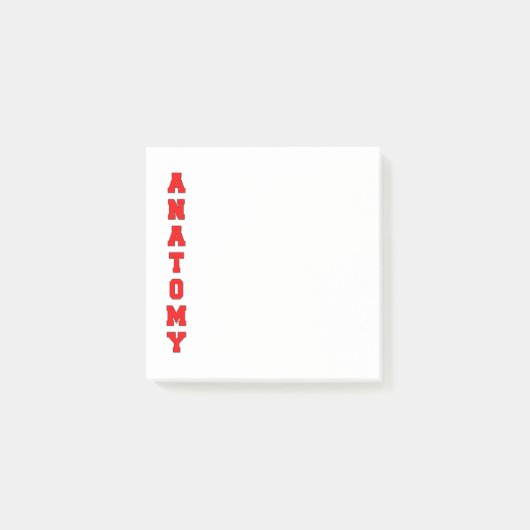 解剖学 ポストイット (正面)