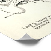 解剖学 – 人間の感覚 ポスター (角)