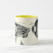 解剖学-人間の感覚 マグカップ (中央)