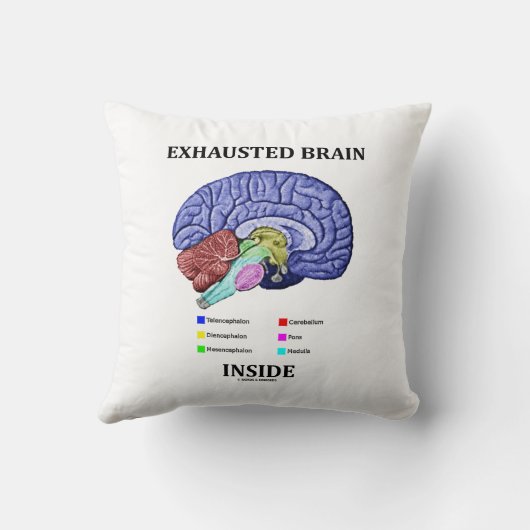 解剖頭脳のユーモアの中の排出された頭脳 クッション (裏面)