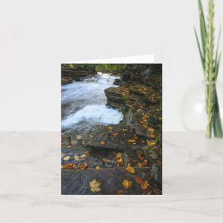 解放された カード