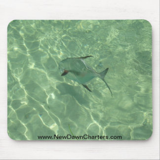 解放 マウスパッド