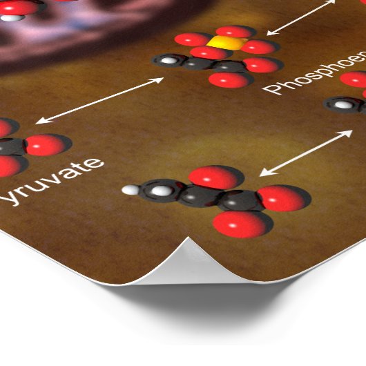 解糖ポスター ポスター (角)
