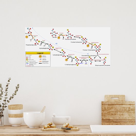 解糖代謝経路の概要図 ポスター (キッチン)