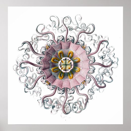 触手のある生き物 ポスター (正面)