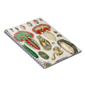 触手タコ向側の触手 ノートブック (右側)