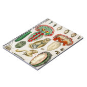 触手タコ向側の触手 ノートブック (左側)