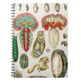 触手タコ向側の触手 ノートブック